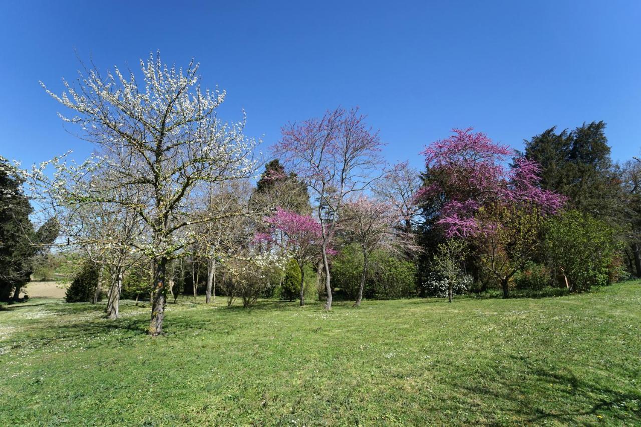 Domaine De Lanis - Maison D'Hotes Avec Parc Et Piscine 카스텔나우다리 외부 사진